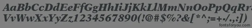 フォントOrchidBlackSsiBlackItalic – 黒い文字の灰色の背景