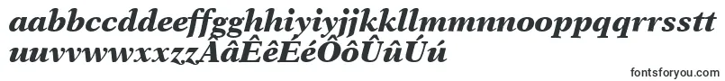 フォントOrchidBlackSsiBlackItalic – フリジアンフォント