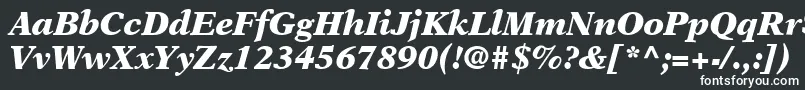 フォントOrchidBlackSsiBlackItalic – 白い文字