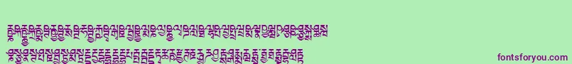 Tibetanmachineweb6 Font – Purple Fonts on Green Background