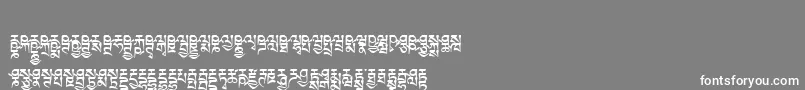 Tibetanmachineweb6 Font – White Fonts on Gray Background