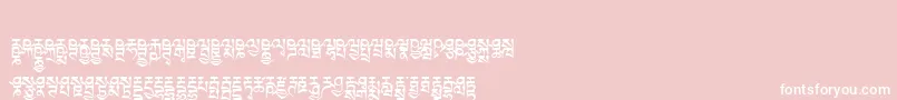 フォントTibetanmachineweb6 – ピンクの背景に白い文字