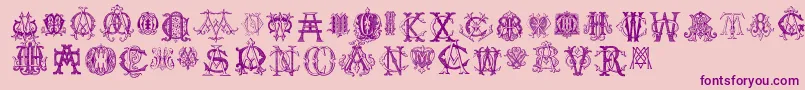 IntellectaMonogramsRandomSamplesFive Font – Purple Fonts on Pink Background