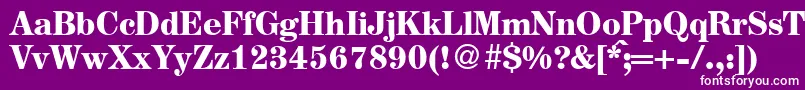 AugustmediumdbBold Font – White Fonts on Purple Background