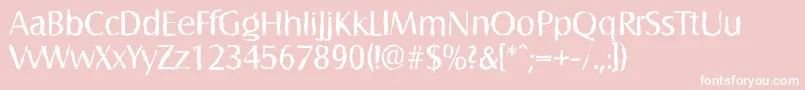 SalzburgrandomRegular Font – White Fonts on Pink Background