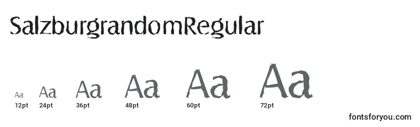 Размеры шрифта SalzburgrandomRegular