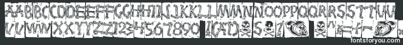 Bones Font – White Fonts on Black Background