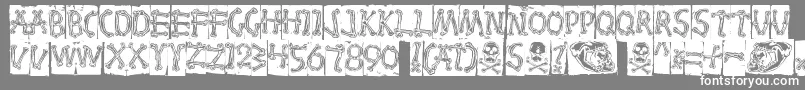 Bones Font – White Fonts on Gray Background