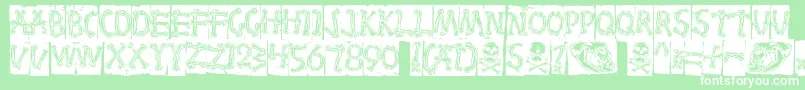 Bones Font – White Fonts on Green Background