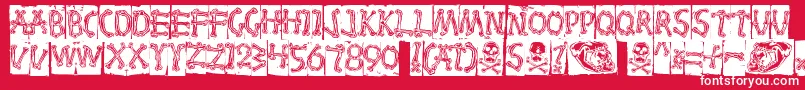 Bones Font – White Fonts on Red Background