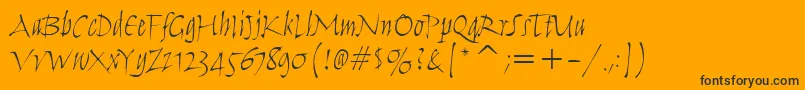 HumanaScriptItcTtLight Font – Black Fonts on Orange Background