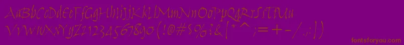 HumanaScriptItcTtLight-fontti – ruskeat fontit violetilla taustalla