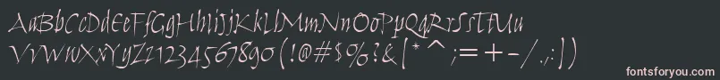 HumanaScriptItcTtLight Font – Pink Fonts on Black Background