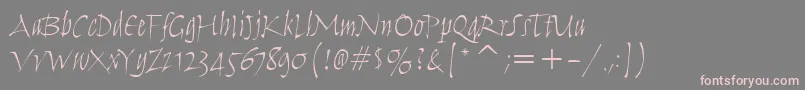 フォントHumanaScriptItcTtLight – 灰色の背景にピンクのフォント