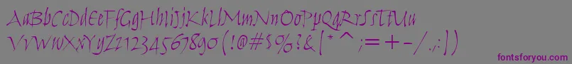 Шрифт HumanaScriptItcTtLight – фиолетовые шрифты на сером фоне