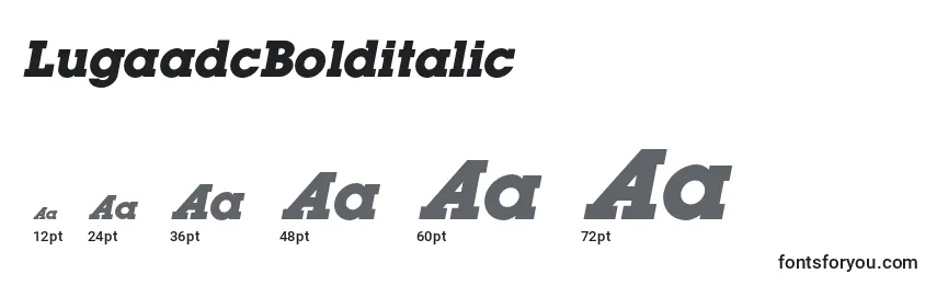 Размеры шрифта LugaadcBolditalic