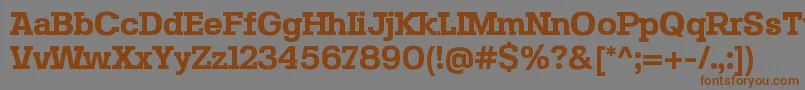 SebslabBold Font – Brown Fonts on Gray Background