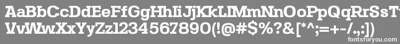 フォントSebslabBold – 灰色の背景に白い文字