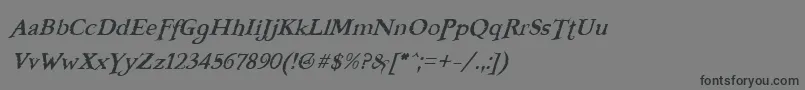 FreebooterItalic Font – Black Fonts on Gray Background