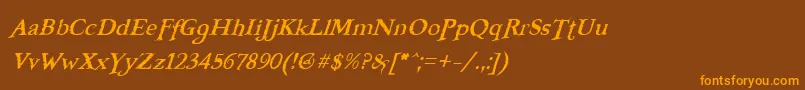 FreebooterItalic Font – Orange Fonts on Brown Background