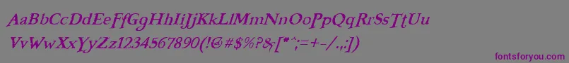 フォントFreebooterItalic – 紫色のフォント、灰色の背景