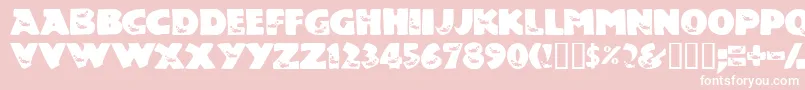 Toucon Font – White Fonts on Pink Background