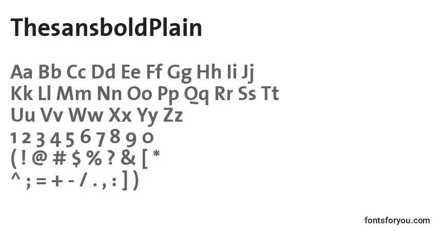 Czcionka ThesansboldPlain – alfabet, cyfry, specjalne znaki