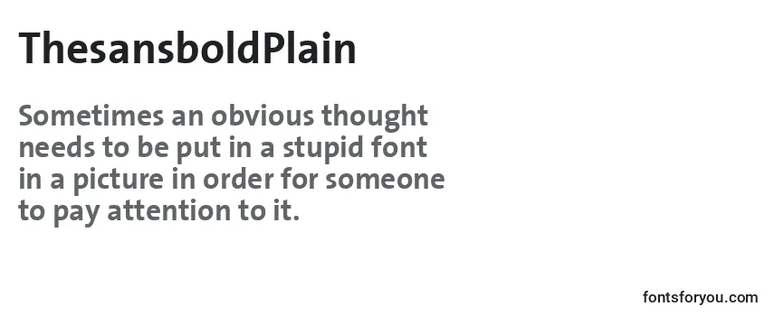 Review of the ThesansboldPlain Font