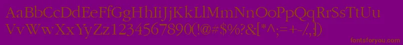 Garamondlightssk Font – Brown Fonts on Purple Background