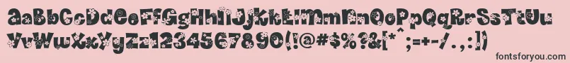 Daffodil Font – Black Fonts on Pink Background