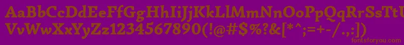 SimonettaBlack Font – Brown Fonts on Purple Background