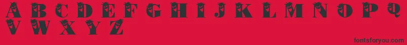 Philliboo Font – Black Fonts on Red Background