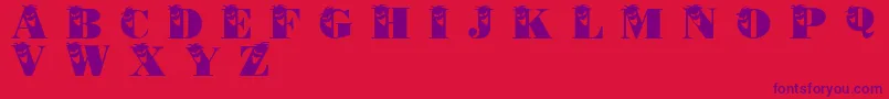 Philliboo Font – Purple Fonts on Red Background