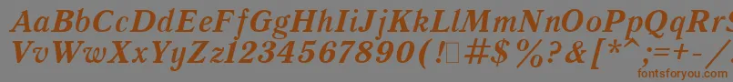 QuantAntiquaBoldItalic.001.001 Font – Brown Fonts on Gray Background