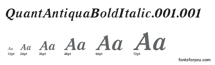 Größen der Schriftart QuantAntiquaBoldItalic.001.001