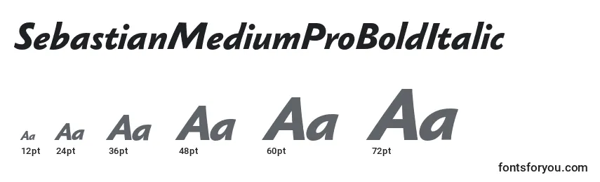 SebastianMediumProBoldItalic Font Sizes