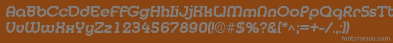 MedflyextraboldRegular Font – Gray Fonts on Brown Background
