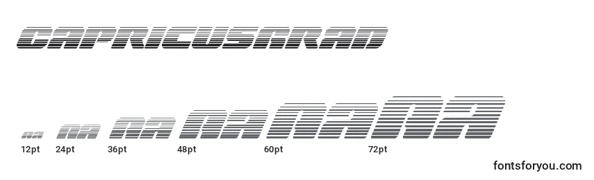 Размеры шрифта Capricusgrad