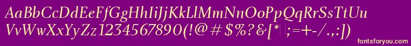 CharlotteBookItalicPlain Font – Yellow Fonts on Purple Background