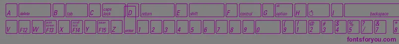 KeyfontusaBold Font – Purple Fonts on Gray Background