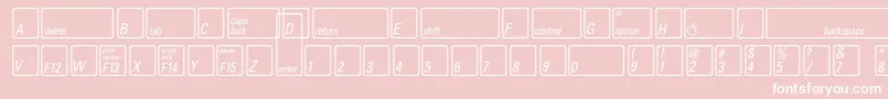 KeyfontusaBold Font – White Fonts on Pink Background