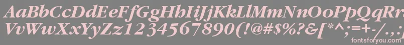 フォントGaramondtttBolditalic – 灰色の背景にピンクのフォント