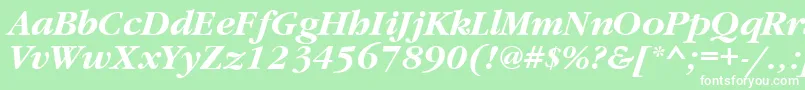 フォントGaramondtttBolditalic – 緑の背景に白い文字