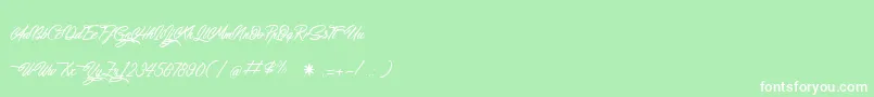 WalkingInSunlight Font – White Fonts on Green Background