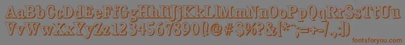 CalgaryshadowMediumRegular Font – Brown Fonts on Gray Background