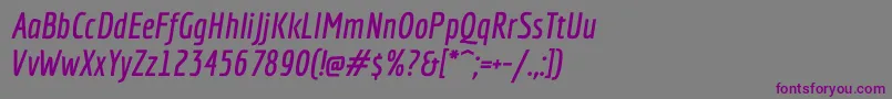 EconomicaBolditalic-fontti – violetit fontit harmaalla taustalla
