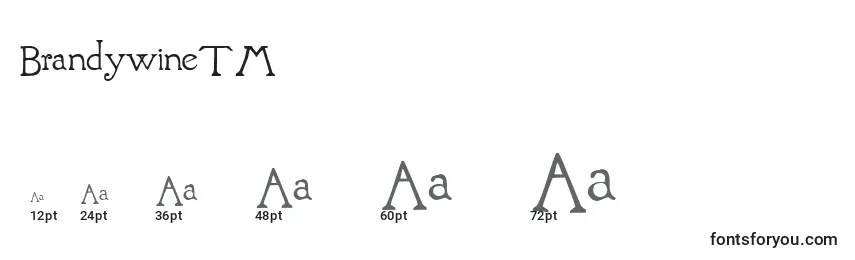 BrandywineTM Font Sizes