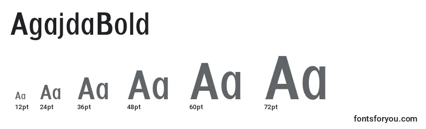 Размеры шрифта AgajdaBold