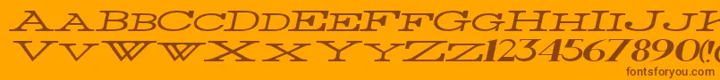 ThinWidestItalic Font – Brown Fonts on Orange Background