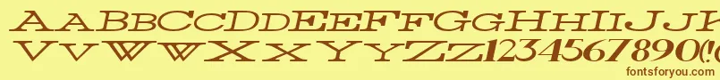 ThinWidestItalic Font – Brown Fonts on Yellow Background
